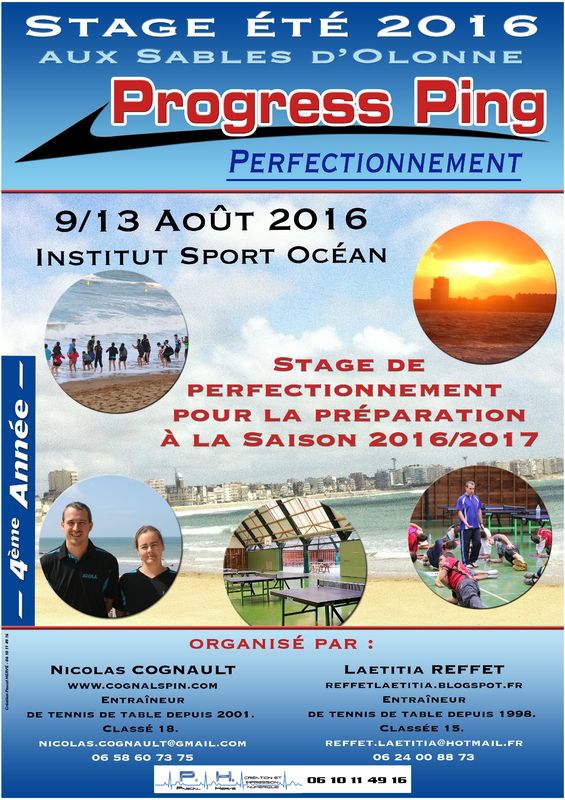 Affiche Progress Ping 2016