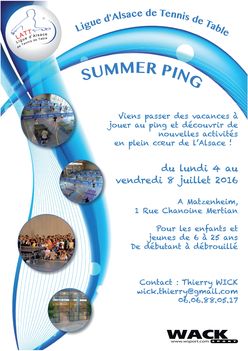 Affiche SUMMER PING