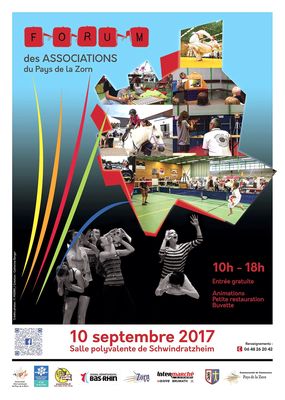 Affiche Forum des Associations AIPZ 2017