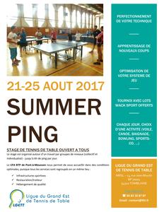 Affiche Stage Summer Ping 2017 LGETT